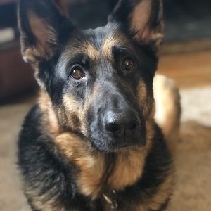 Meet your Posher, Evan